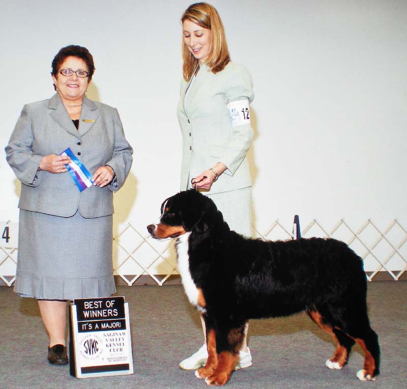 Aspens first major bernese